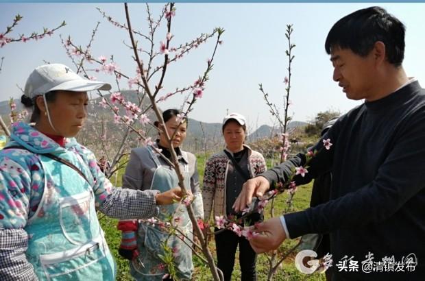 王庄乡最新发展规划，塑造乡村新面貌，推动可持续发展进程