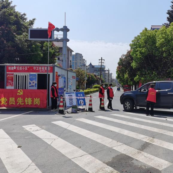 漳港街道最新动态，城市发展与社区脉搏同步更新