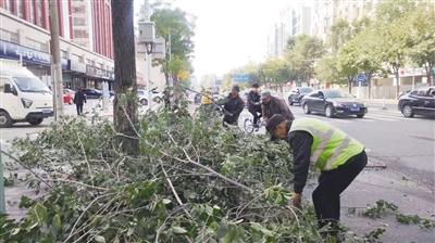 乌兰察布市园林管理局领导团队最新概述