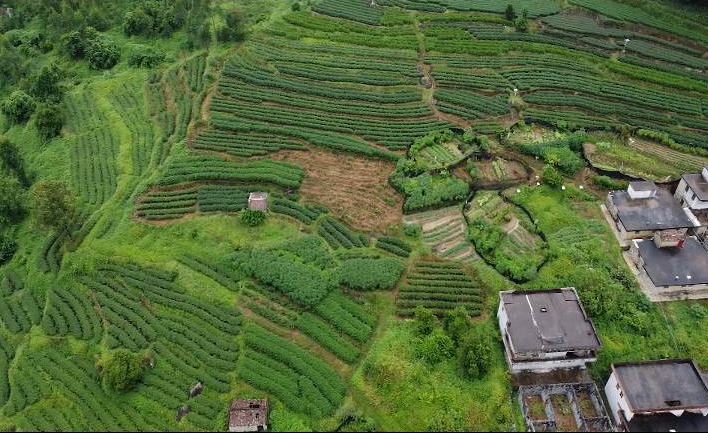 三源村民委员会启动重塑乡村项目，推进可持续发展新篇章